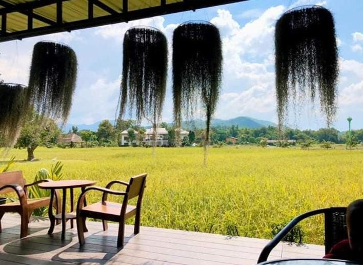 Oon Valley Farm Stay San Kamphaeng Ngoại thất bức ảnh