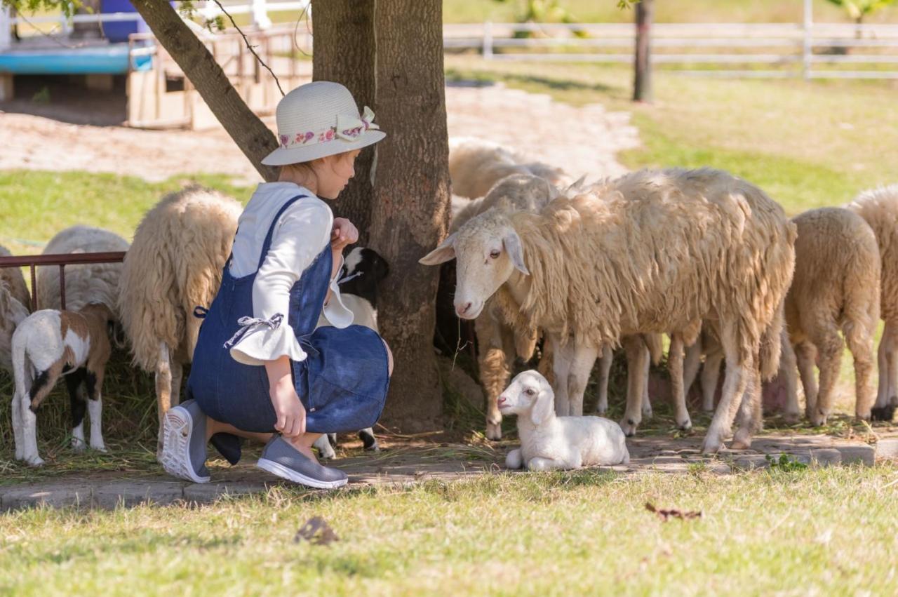 Oon Valley Farm Stay San Kamphaeng Ngoại thất bức ảnh
